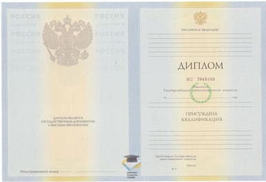 Диплом Филиала в г. Владимире СФГА 2010-2011 годов